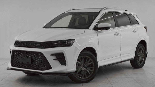 SWM G01F, I 2024 с пробегом 10 км.