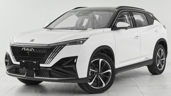 DongFeng Mage, 2024 г.