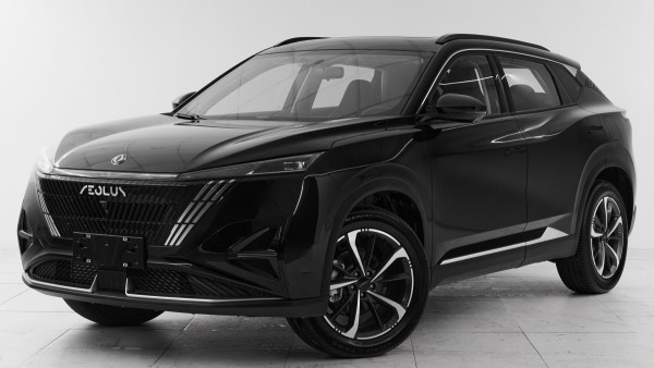 DongFeng Mage, 2024 г.