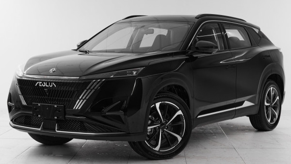 DongFeng Mage, 2024 г.