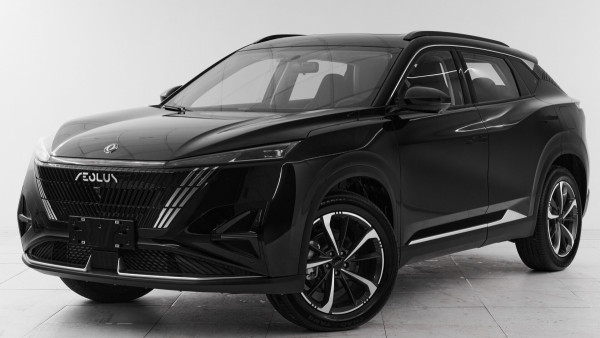 DongFeng Mage, 2024 г.